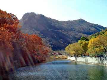 大三巴一肖二码最准，柴油加油泵